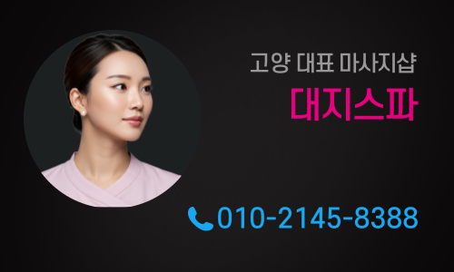 대지스파